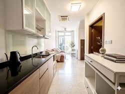 Suites @ Bukit Timah (D21), Apartment #553498881